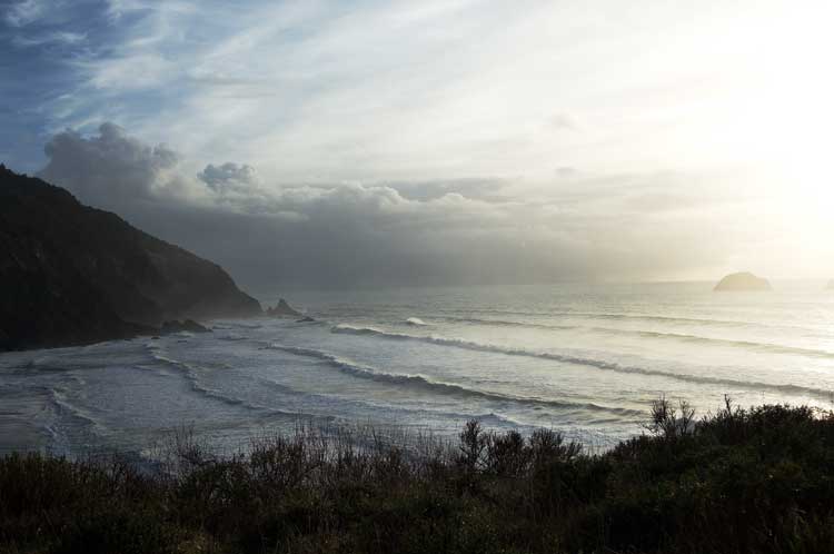 California-Oregon coast