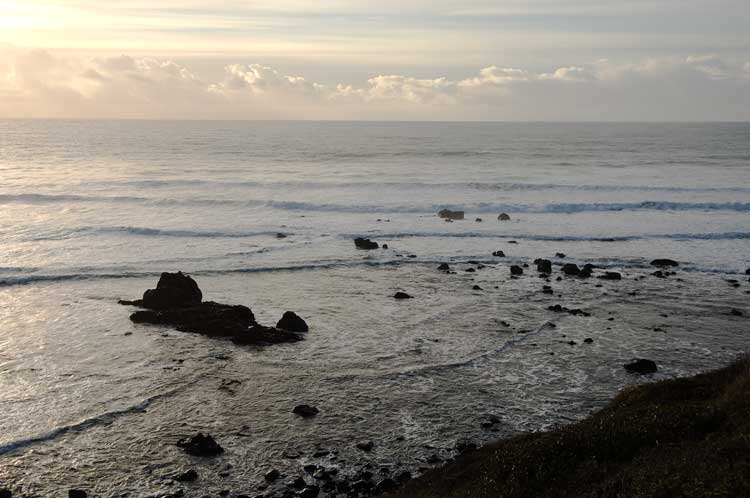 California-Oregon coast