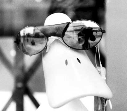 Store window in Lake Merritt area