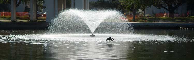 This morning beside Lake Merritt.