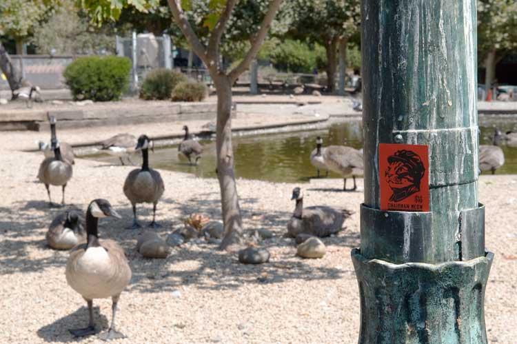 Chairman Meow at Lake Merritt, Oakland.