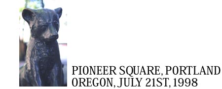 Little bear near the square.