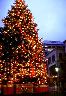 Early morning, Oakland City Center.