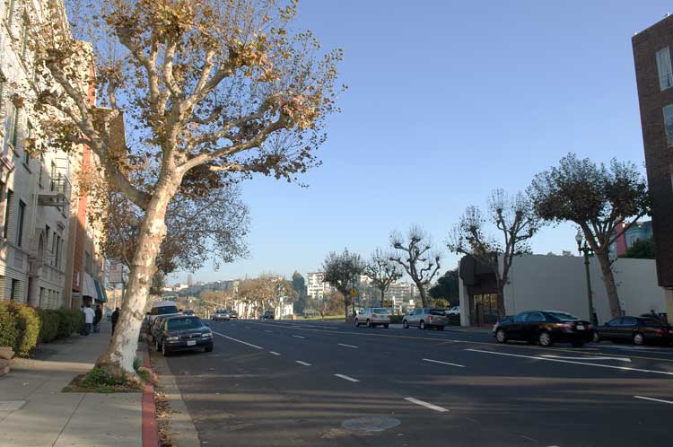 Local Oakland Lake Merritt area bus stop.