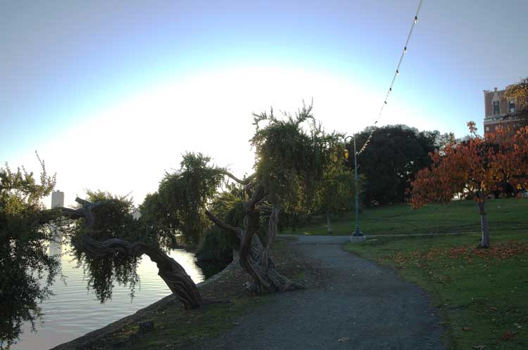 Lake Merritt, Oakland.