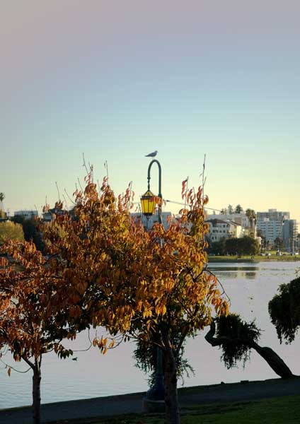 Lake Merritt, Oakland.