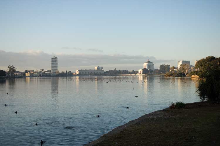 This morning at Lake Merritt in Oakland.