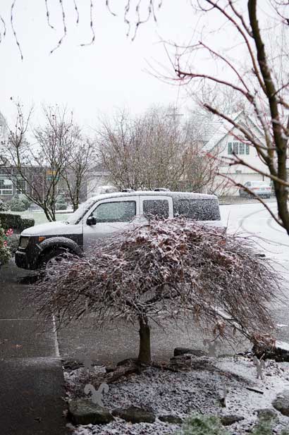 A white Christmas in Portland.