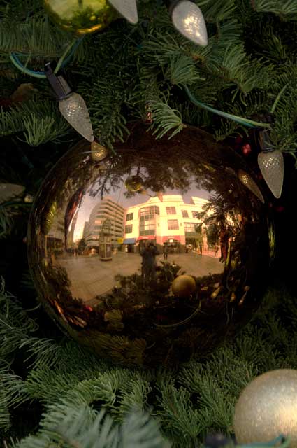 Christmas tree at the Oakland City Center.