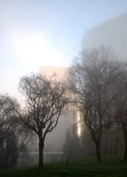 Early morning in downtown Oakland.