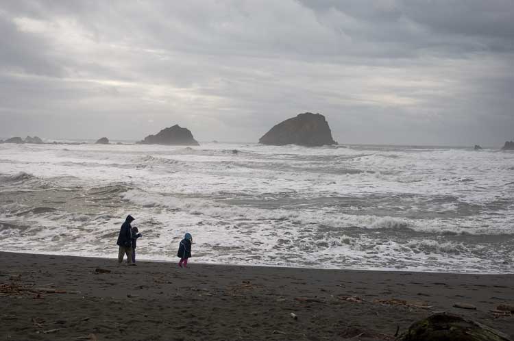 Northern California coast yesterday on the way back to Oakland.