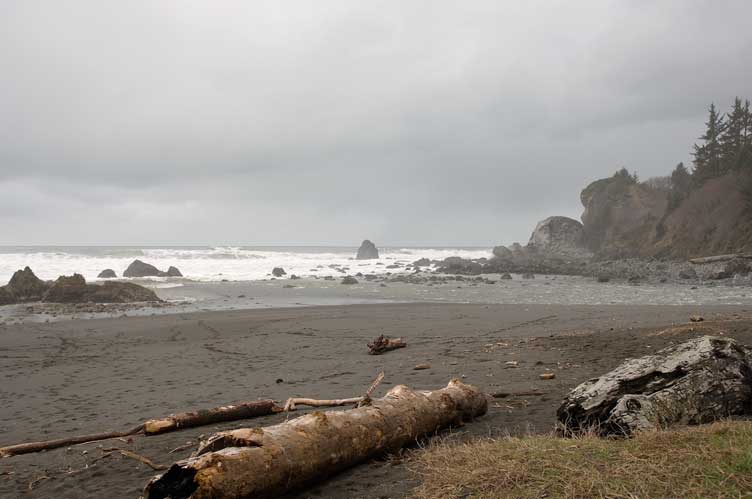 Northern California coast in the rain on the way back to Oakland.