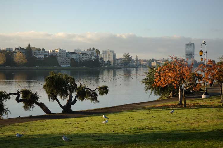 Lake Merritt, down from my door, but not (unfortunately) from my window.