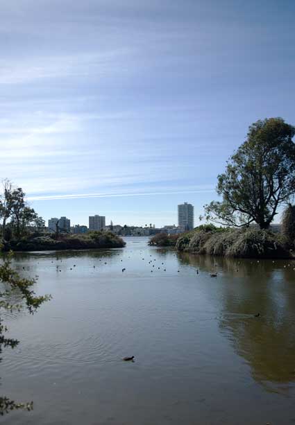 Across the street at Lake Merritt