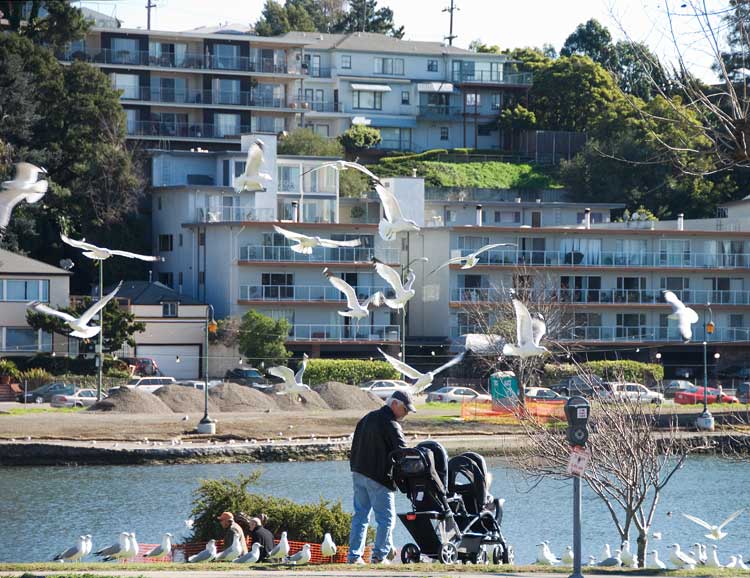 Lake Merritt, Oakland.