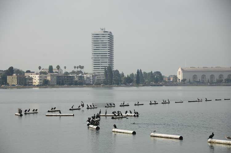 Lake Merritt, Oakland.