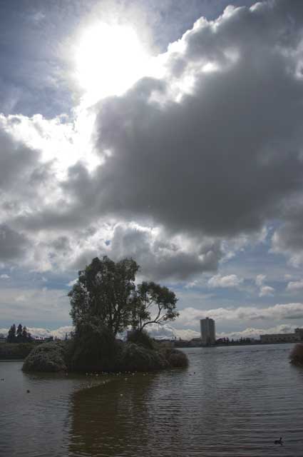 Lake Merritt today in Oakland.