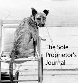 The Sole Prop's Journal