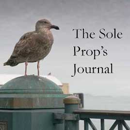 The Sole Prop's Journal
