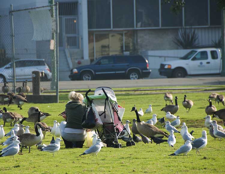 From Grand Avenue near Highway 580 in Oakland.