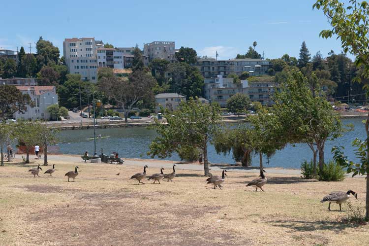 Getting off a bus this morning by Lake Merritt in Oakland.