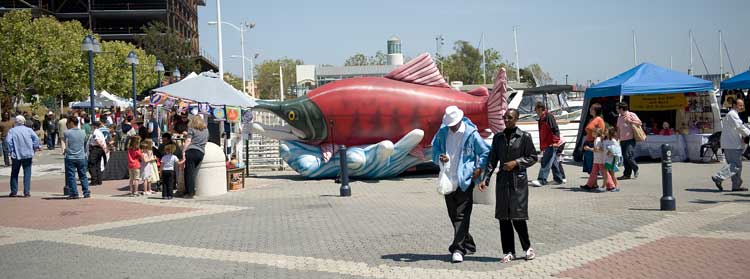 “Salmon Aid” today at Jack London Square.