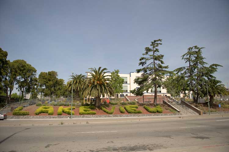 Lakeview High School across from the Grand Lake theater in Oakland.