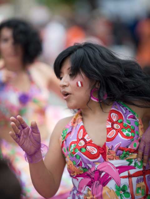 San Francisco 2008 Carnaval Parade.