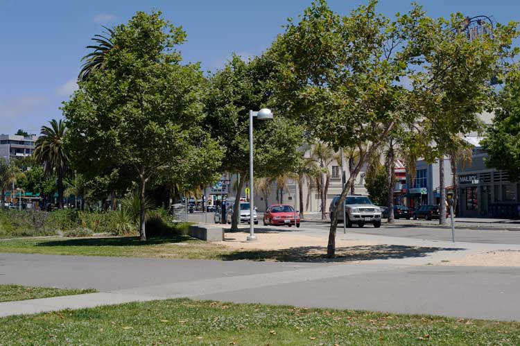 A view from a chair in a park next to Highway 580 near the Grand Lake Theater after a late breakfast in Oakland.