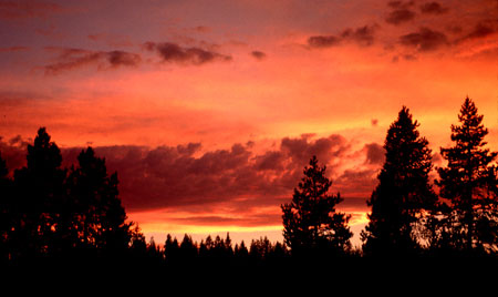 In Oregon, shooting west from the Starlight Express.