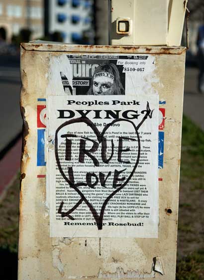 A newspaper box in Oakland.