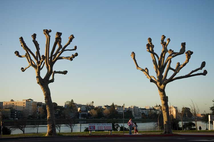 Lake Merritt area in Oakland.