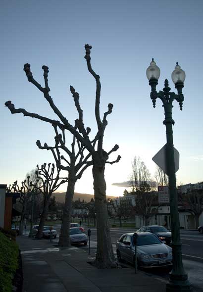 A bus stop near Lake Merritt.