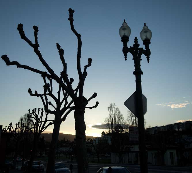 Lake Merritt area, Oakland.