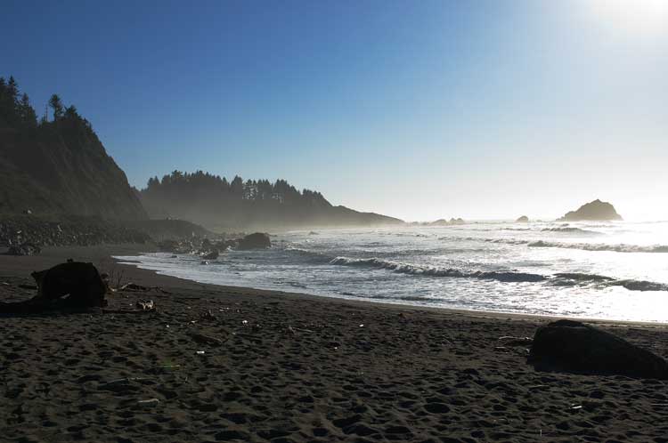 On the Oregon coast last year.