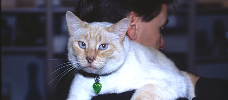 Cat with brother-in-law in tow.