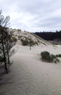 The Oregon coast.