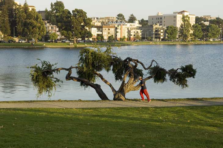 Lake Merrit in Oakland