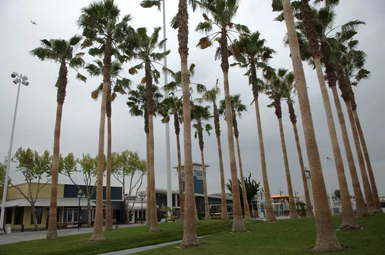 Yesterday on the way to lunch in Jack London Square.