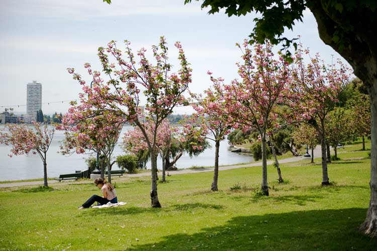 Today at Lake Merritt.