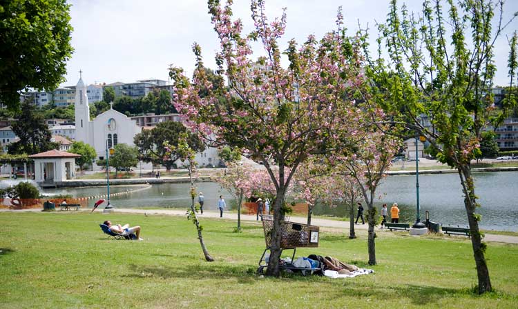 Today at Lake Merritt.