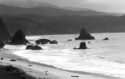 The Oregon coast off Highway 101