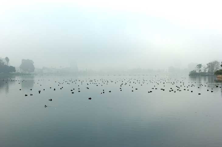 Today at Lake Merritt in Oakland