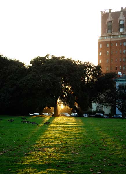 Near Lake Merritt in Oakland