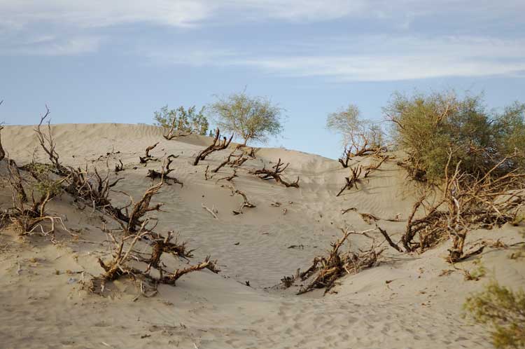 Death Valley, California.