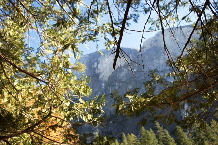 One of the trails in Yosemite Valley, California.