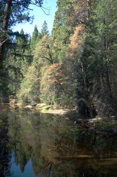 Yosemete Valley floor, California.