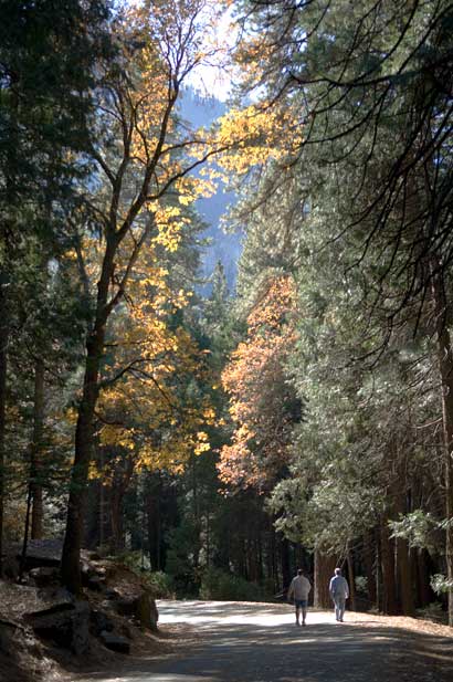 A walk back down the trail in Yosemete Valley, California.