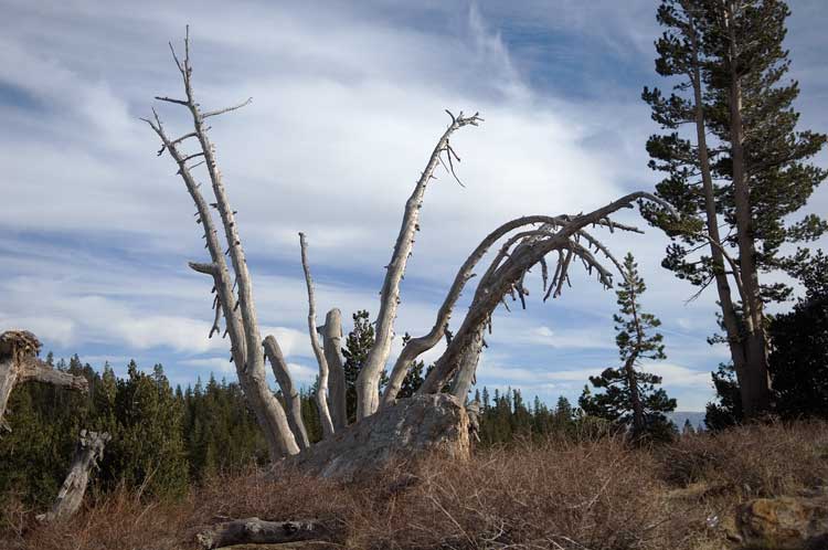 Near Mammoth Lake, California.