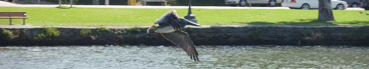 Lake Merritt, Oakland